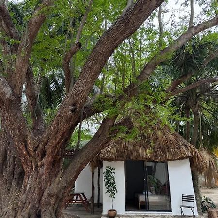 Cabanas Camping Ria Celestun Luaran gambar