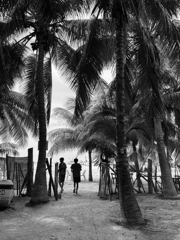 Cabanas Camping Ria Celestun Luaran gambar