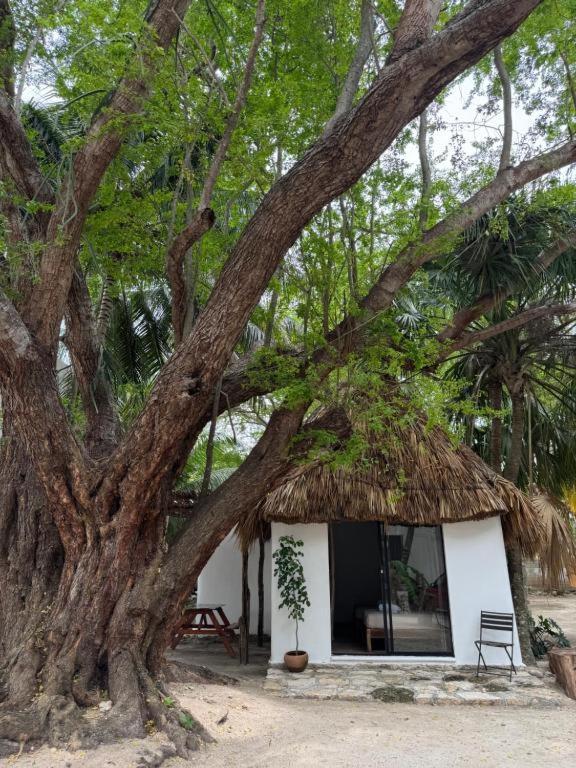 Cabanas Camping Ria Celestun Luaran gambar