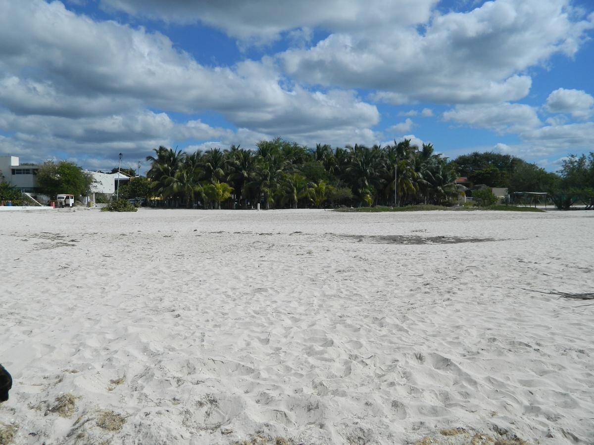 Cabanas Camping Ria Celestun Luaran gambar