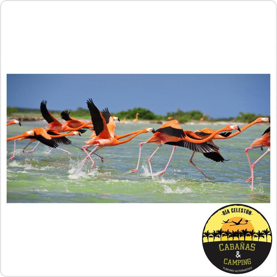 Cabanas Camping Ria Celestun Luaran gambar
